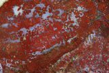 Red, Indonesian Plume Agate Slab - North Sumatra, Indonesia #185370-1